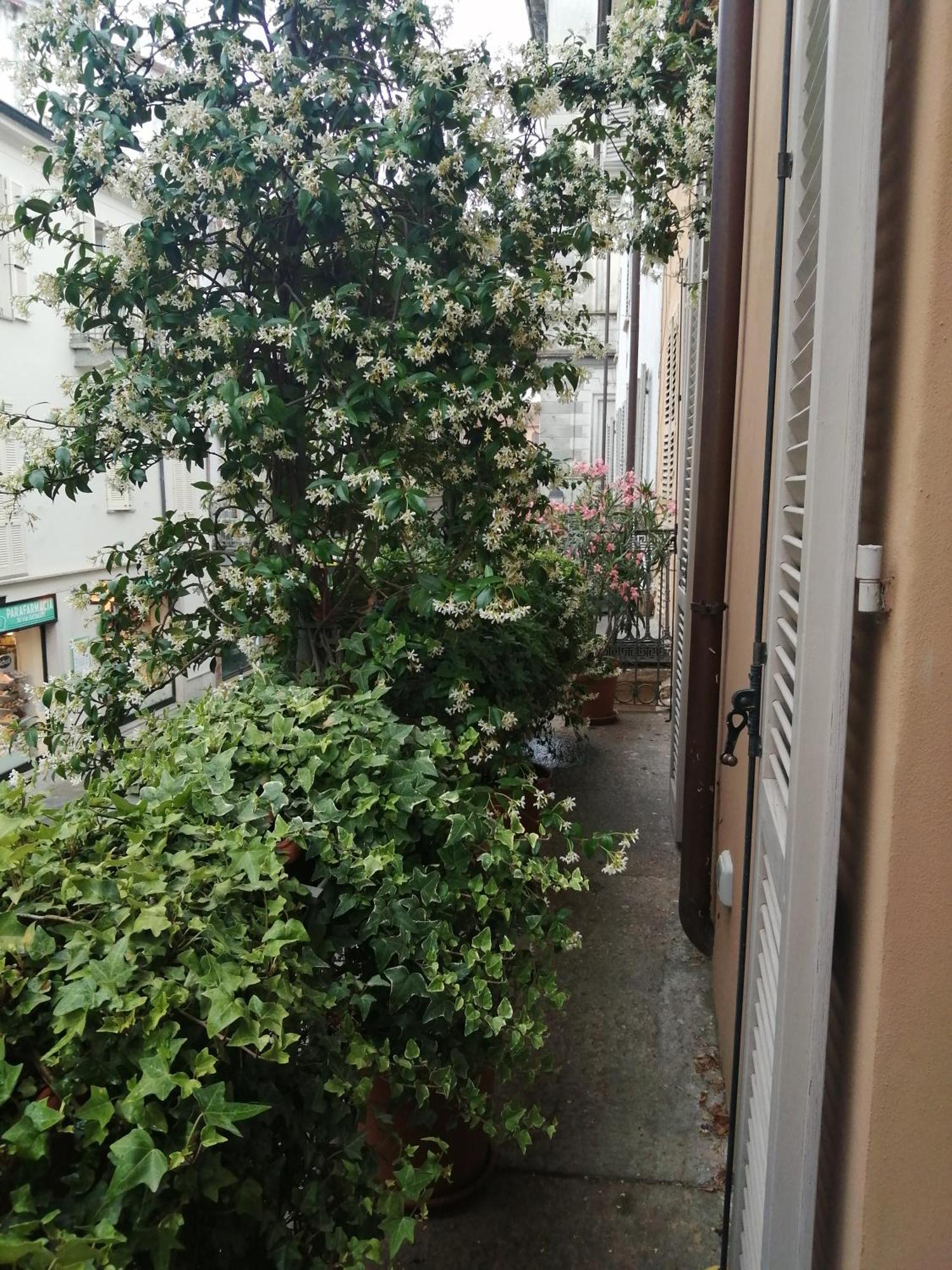 Le Melusine Apartman Vercelli Kültér fotó